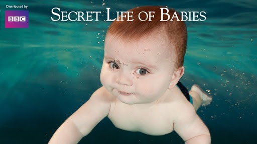A Vida Secreta dos Bebês (2014)