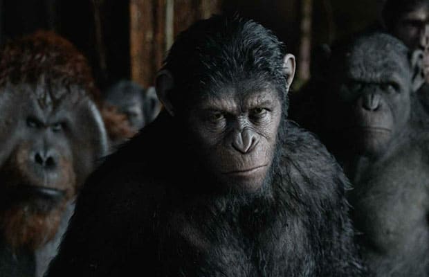Os Melhores Filmes sobre Macacos