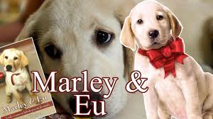 Marley – Marley e Eu (2008)