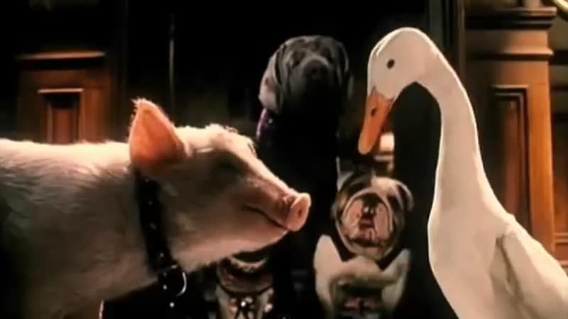 Babe – O Porquinho Atrapalhado na Cidade (1999)