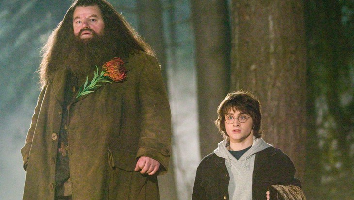 Hagrid e Harry potter