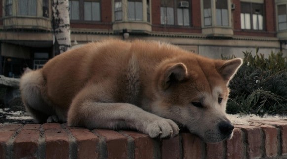 Sempre ao Seu Lado (Hachiko: A Dog’s Story - 2009)