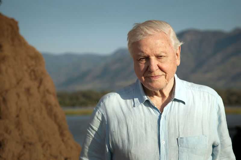 David Attenborough e Nosso Planeta: novo filme da Netflix é um pedido de socorro à Terra