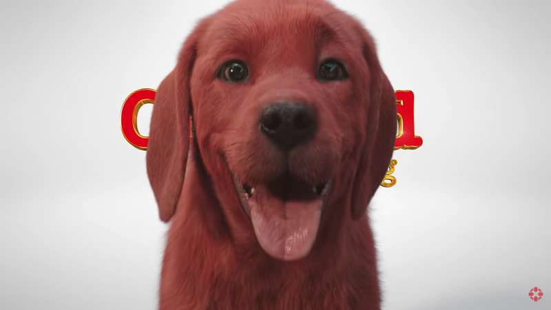 Clifford – O Gigante Cão Vermelho ganha primeiro trailer, confira