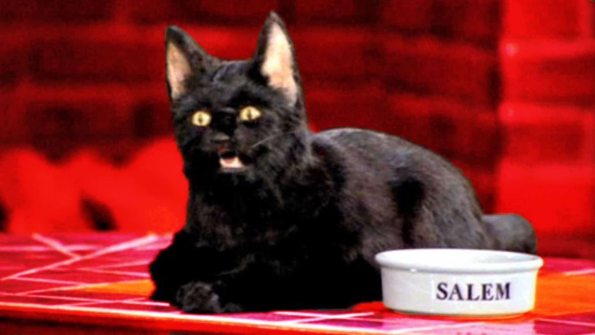 Binx, de Abracadabra (1993), virou Salem em Sabrina, the Teenage Witch (1996) 