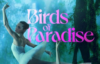 Birds of Paradise: assista ao trailer do próximo filme da Amazon Prime Video