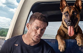 Dog - A Aventura de Uma Vida: filme com Channing Tatum ganha trailer dublado