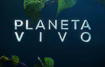 Planeta Vivo: minissérie documental da Netflix ganha trailer narrado por Cate Blanchett