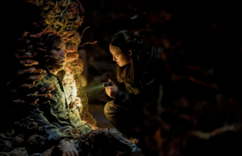 The Last of Us: 6º episódio da 2ª temporada ganha trailer