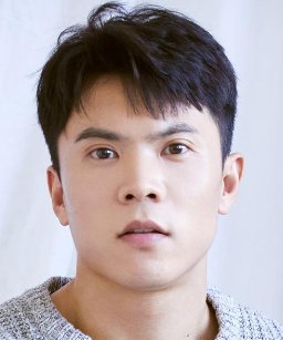 Zhenwei Wang: Os melhores Filmes e Séries - Cinema10