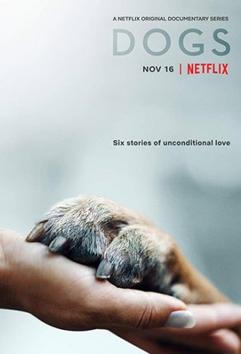 Poster da série Apenas Cães