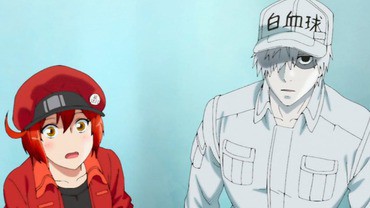Anime Hataraku Saibo - Sinopse, Trailers, Curiosidades e muito mais -  Cinema10