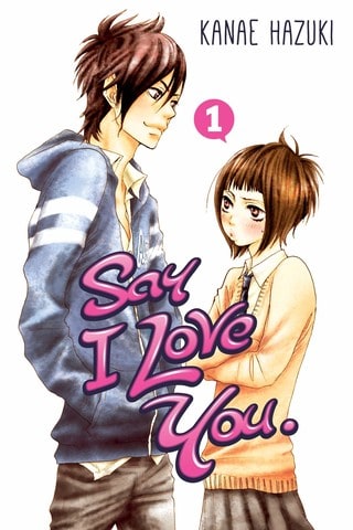 Poster do anime Say I Love You