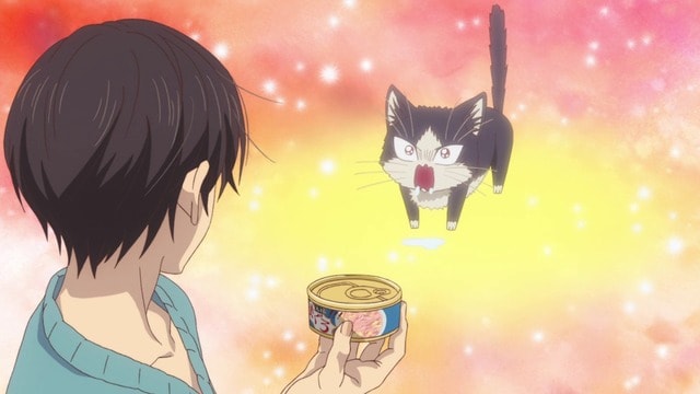 Imagem 1 do anime My Roommate Is a Cat