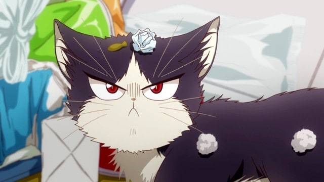 Imagem 3 do anime My Roommate Is a Cat