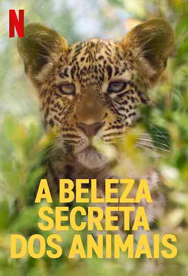 Poster da série A Beleza Secreta dos Animais