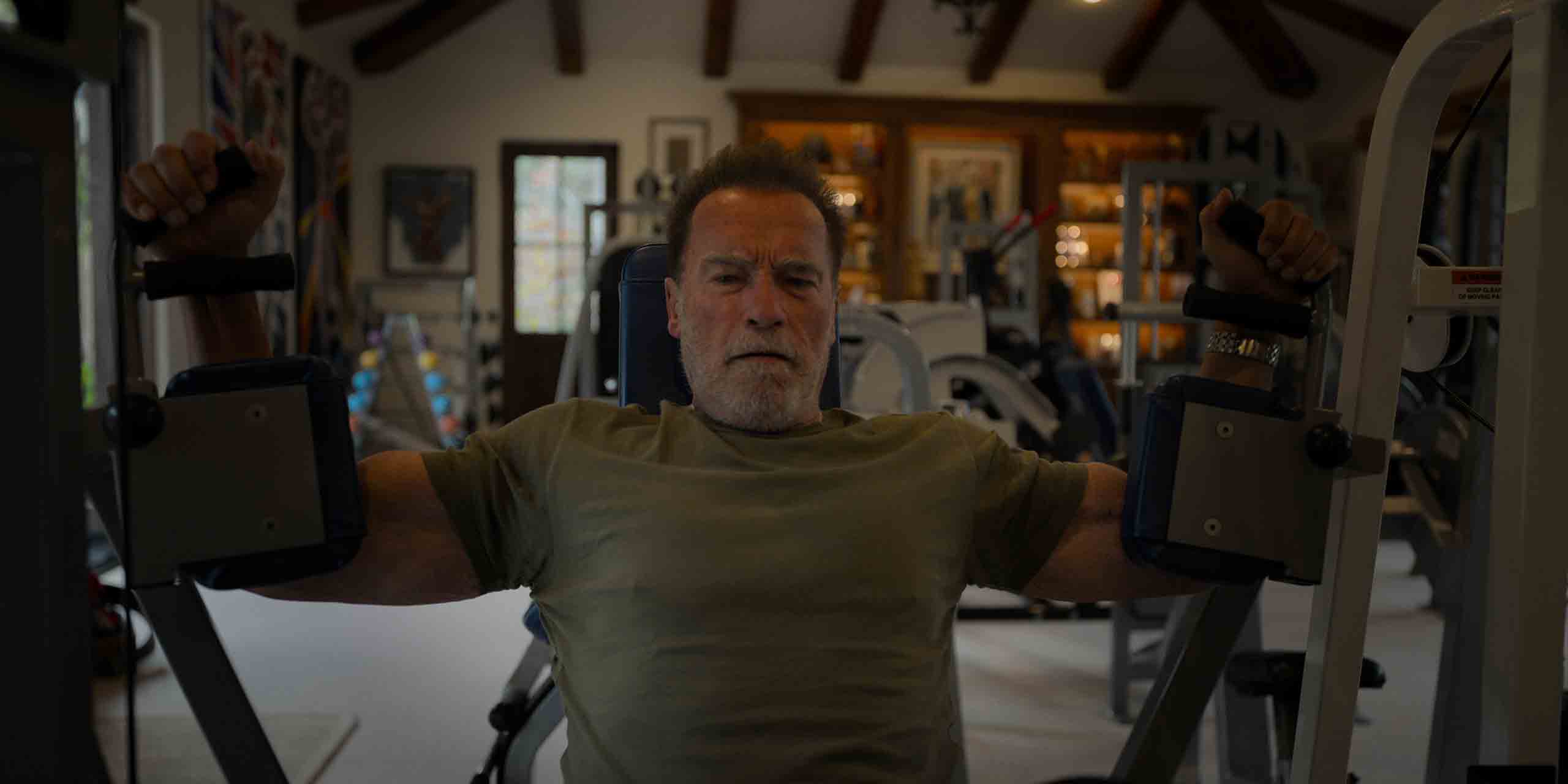 Imagem 1
                    da
                    série
                    Arnold