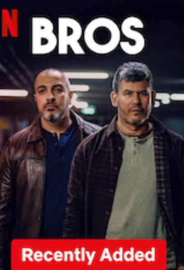 Poster da série Bros