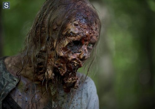 Imagem 5
                    da
                    série
                    The Walking Dead